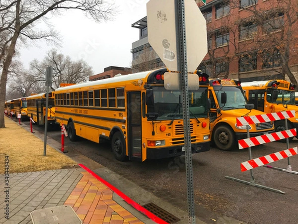 Fototapeta School buses lined up