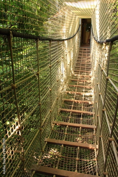 Obraz Passerelle 