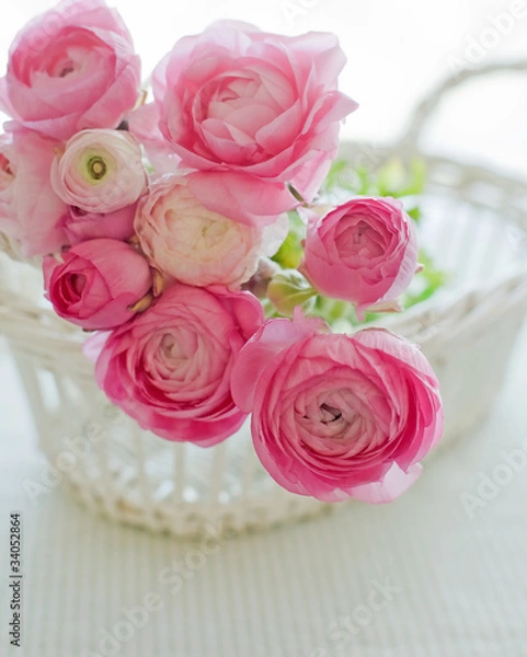 Obraz ピンクのラナンキュラス２