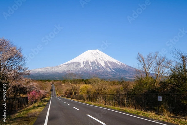 Fototapeta 路と富士山
