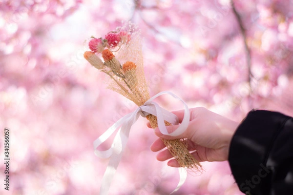 Obraz 花束と桜