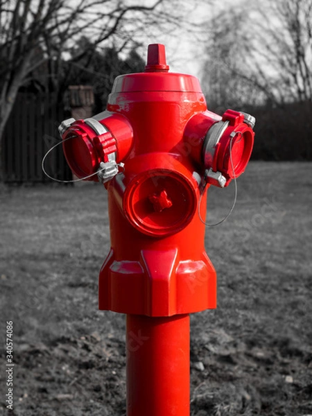 Obraz Red fire hydrant in rural area with black and white grass behind it
