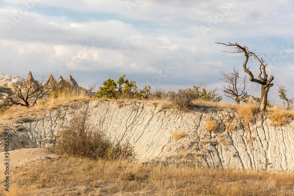 Fototapeta Unique geological formations in Love Valley in Cappadocia, popular travel destination in Turkey
