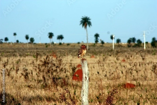 Obraz Travelling the world