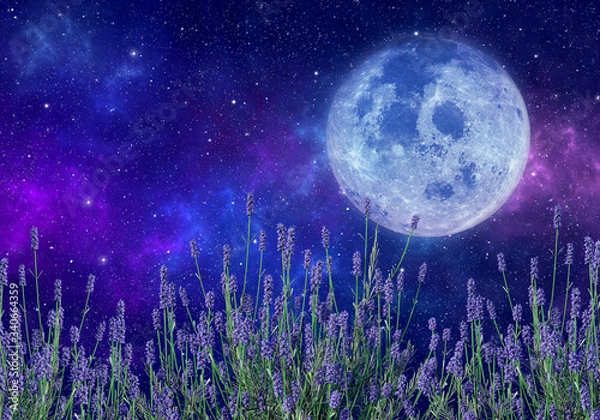 Obraz Supermoon lub kwiat księżyca, kwiaty lawendy, przestrzeń, mgławica i gwiazdy. Elementy tego zdjęcia dostarczone przez NASA. Renderowanie 3D.