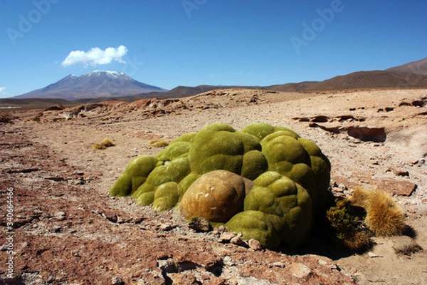 Obraz Travelling the world