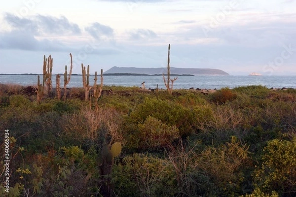 Obraz Travelling the world