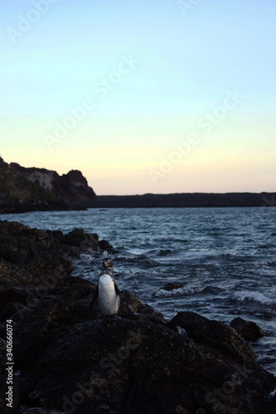 Obraz Travelling the world