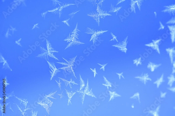 Fototapeta ガラスに付いた氷の結晶