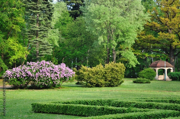 Fototapeta Beautiful park with green lawn, trees and elegant gazebo for romantic encounters