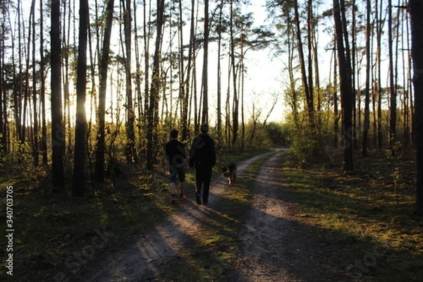 Fototapeta Zachód słońca
