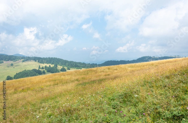 Obraz Yellow Slope