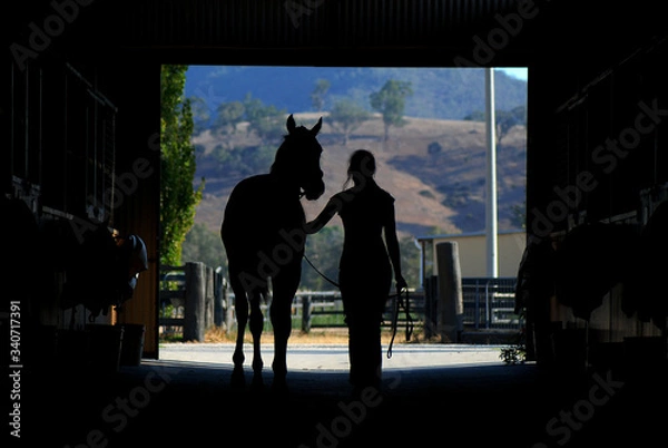 Obraz Horse and woman silhouette in barn showing a strapper walking a racehorse