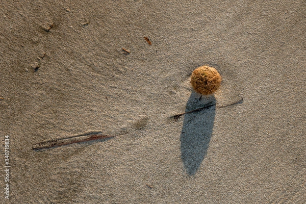 Fototapeta abstract drawing in the sand