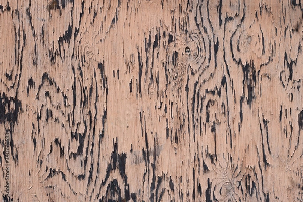 Obraz Pink Weathered Wood Background Texture Pattern