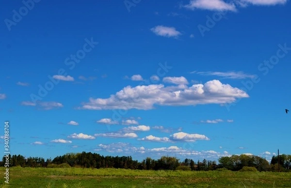 Fototapeta 春　渡良瀬　爽やか　風景　杤木