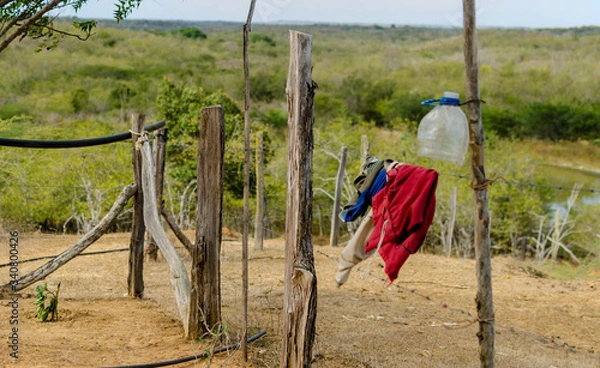 Obraz Sobre la Alambrada