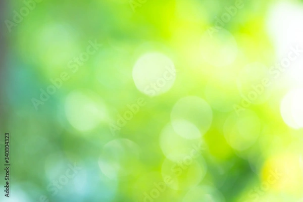 Obraz Abstract background Natural green bokeh