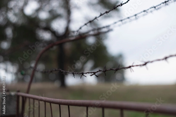 Obraz Barbed wire fence