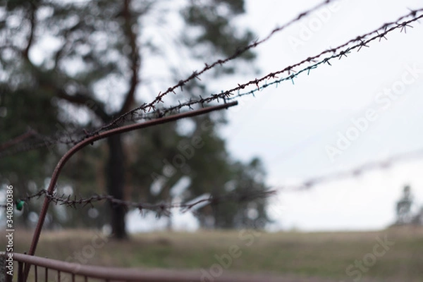 Obraz Barbed wire fence