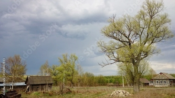 Obraz from the series rural landscapes old houses and trees with the first green on the background of gray-blue sky and grass