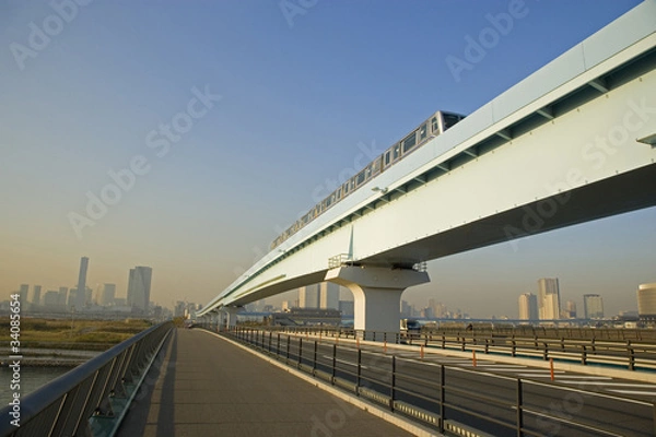 Fototapeta ゆりかもめ