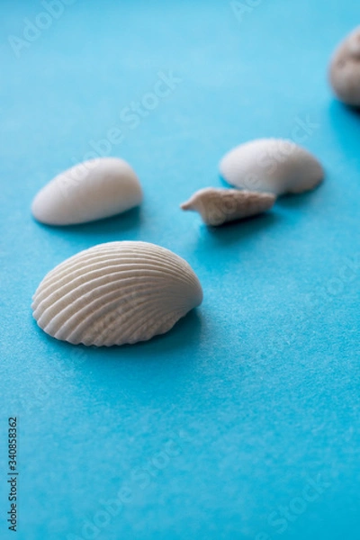Obraz sea shells on a blue background

