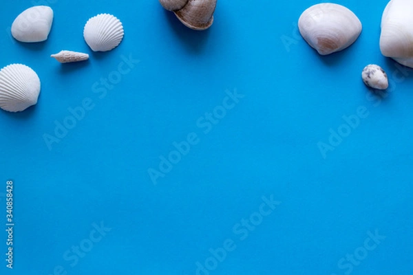 Obraz sea shells on a blue background
