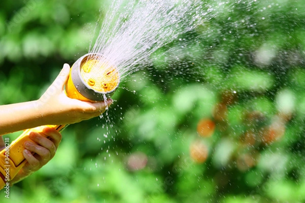 Obraz Watering Flowers