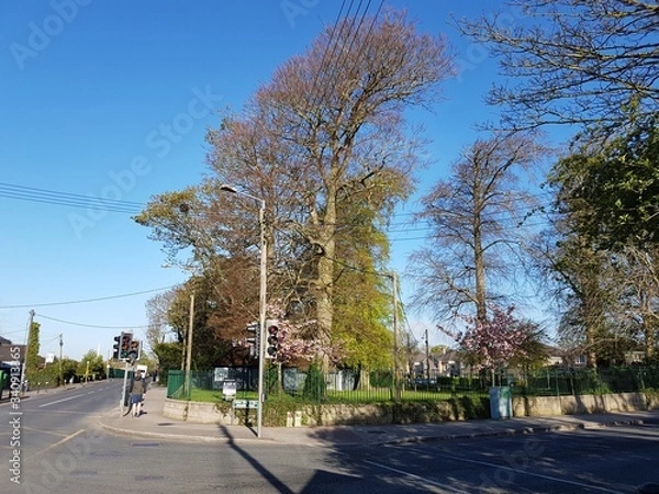 Fototapeta street view 