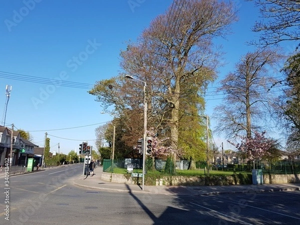 Fototapeta street view 