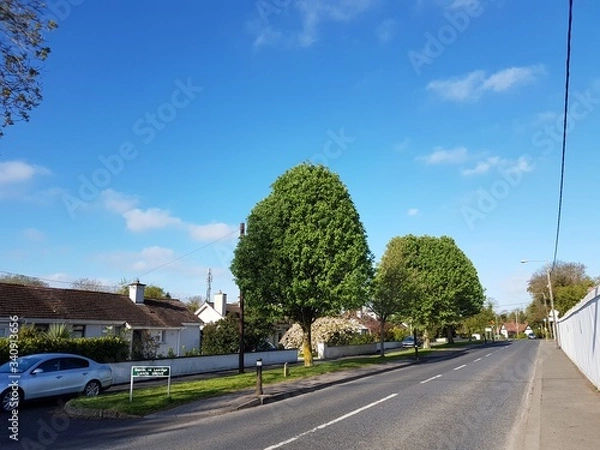 Fototapeta tree AND SKY 