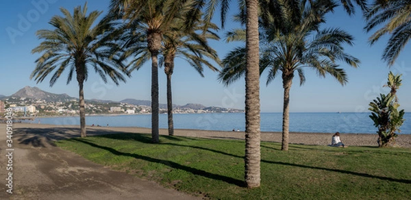 Fototapeta Malaga Beach La Malagueta wide panorama with palm trees and grass with people relaxing and sunbathing on the sand near the sea.
