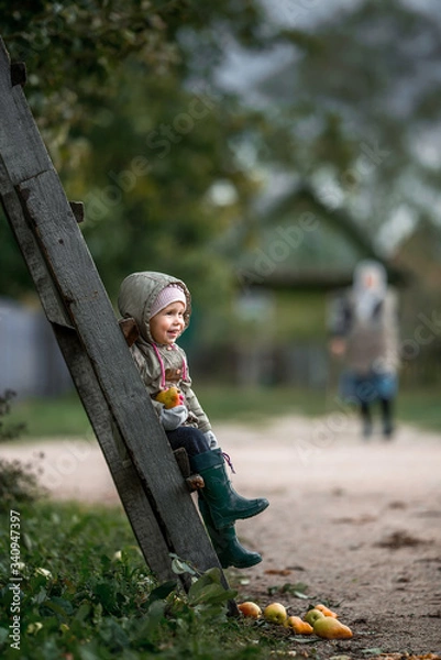 Obraz child walks in the village and harvests