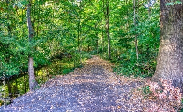 Obraz Bois de Vincennes