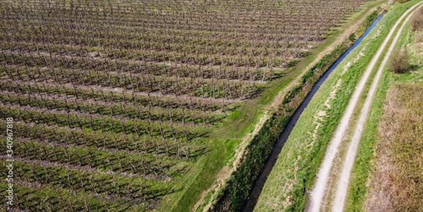 Obraz Orchard ready for Spring