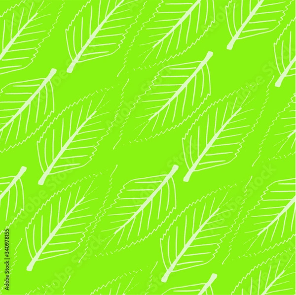 Obraz Green pattern with thin leaves with nerves
