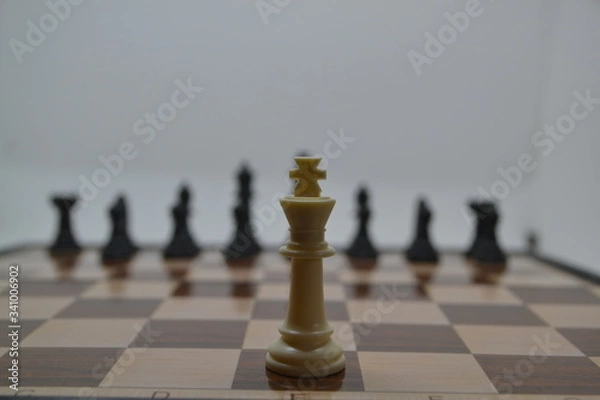 Obraz Ajedrez, rey solo