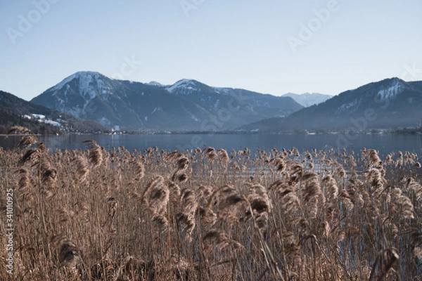 Obraz Lake view  with mountains 