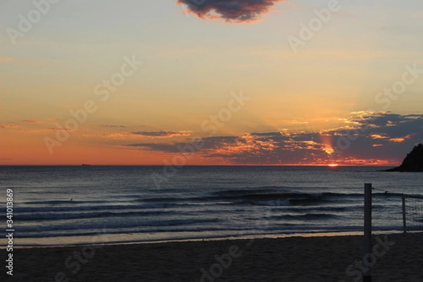 Fototapeta manly,sydney