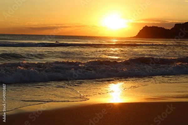 Fototapeta manly, sydney