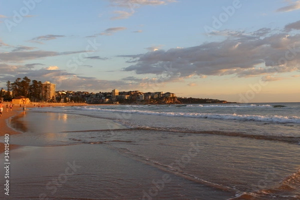 Fototapeta manly,sydney