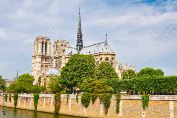 Fototapeta Notre Dame de Paris