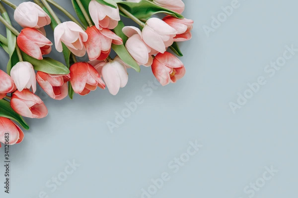 Fototapeta Tulips arrangement with copy space