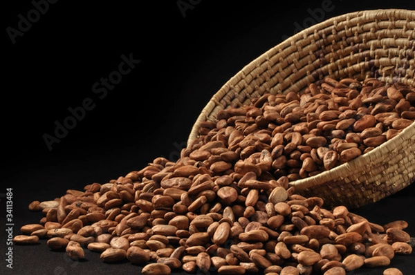 Obraz Raw cacao