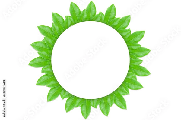 Fototapeta Leaf frame for inserting circular text in the middle