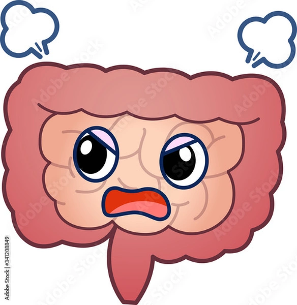 Fototapeta 大腸、小腸のイラスト