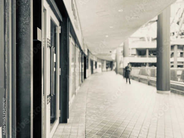 Fototapeta ラクーア