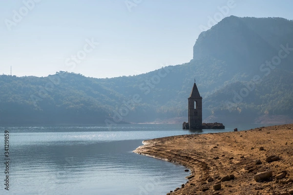 Obraz Swamp in Sau reservoir, Catalonia, Spain.
