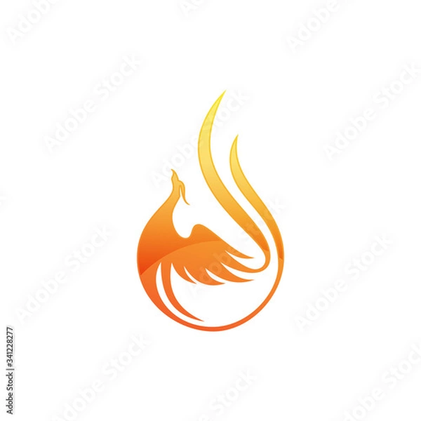 Obraz Fire bird phoenix logo design, falcon, eagle, hawk and wing vector icon